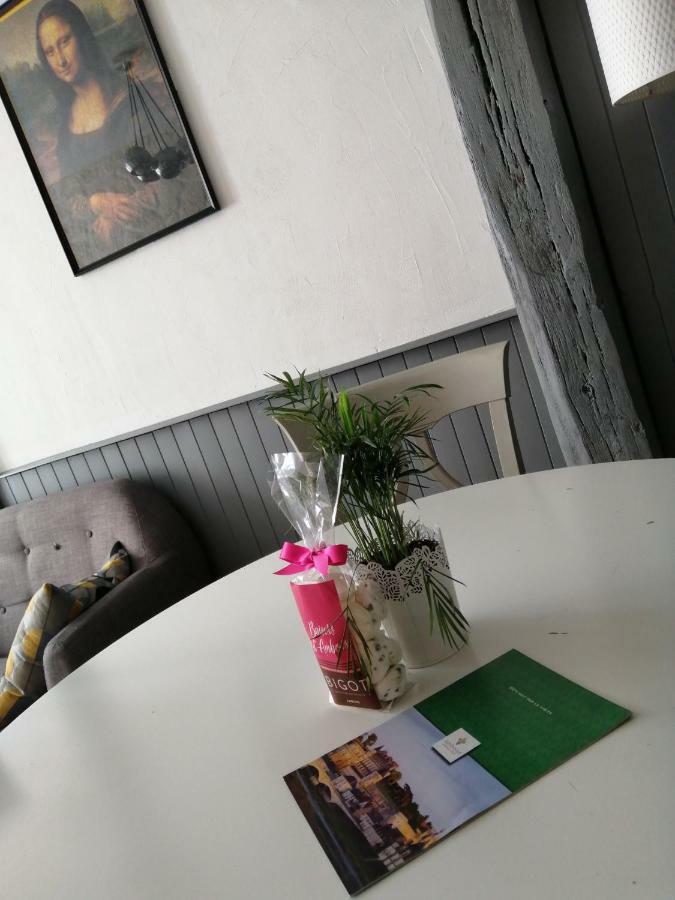 Le Sourire De Mona Lisa Apartment Amboise Bagian luar foto